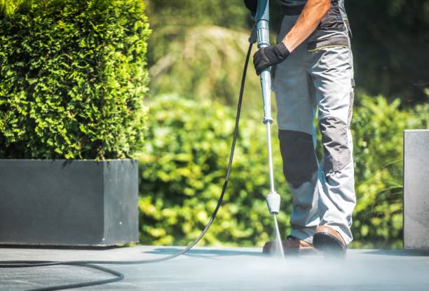 Best Driveway Pressure Washing  in La Verkin, UT
