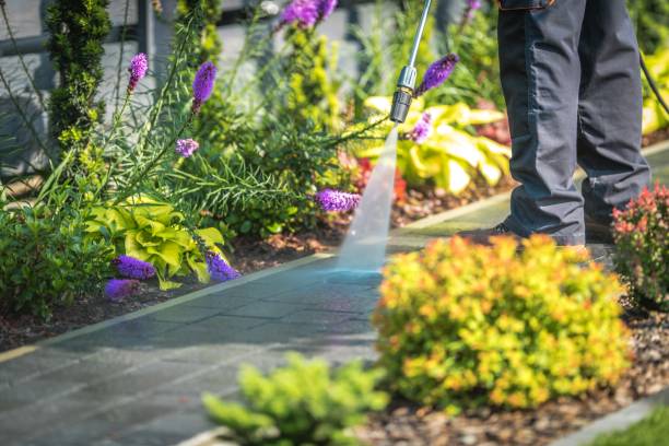 Best Dumpster Area Cleaning  in La Verkin, UT