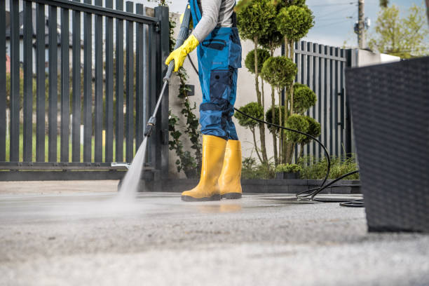 Best Patio and Deck Pressure Washing  in La Verkin, UT